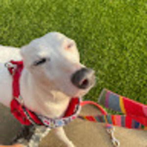 Meet your Posher, Marilyn